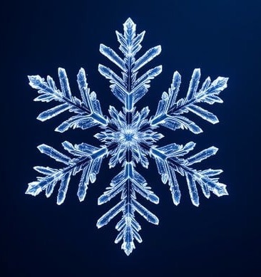 snow crystal