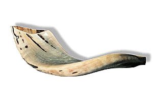 shofar-2