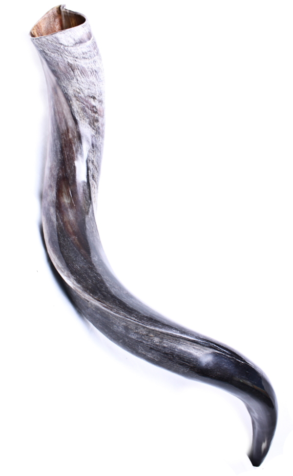 shofar-Yemenite