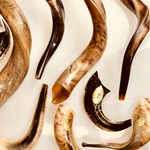 shofars-Judaica.com