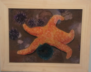 Emuna's starfish 3